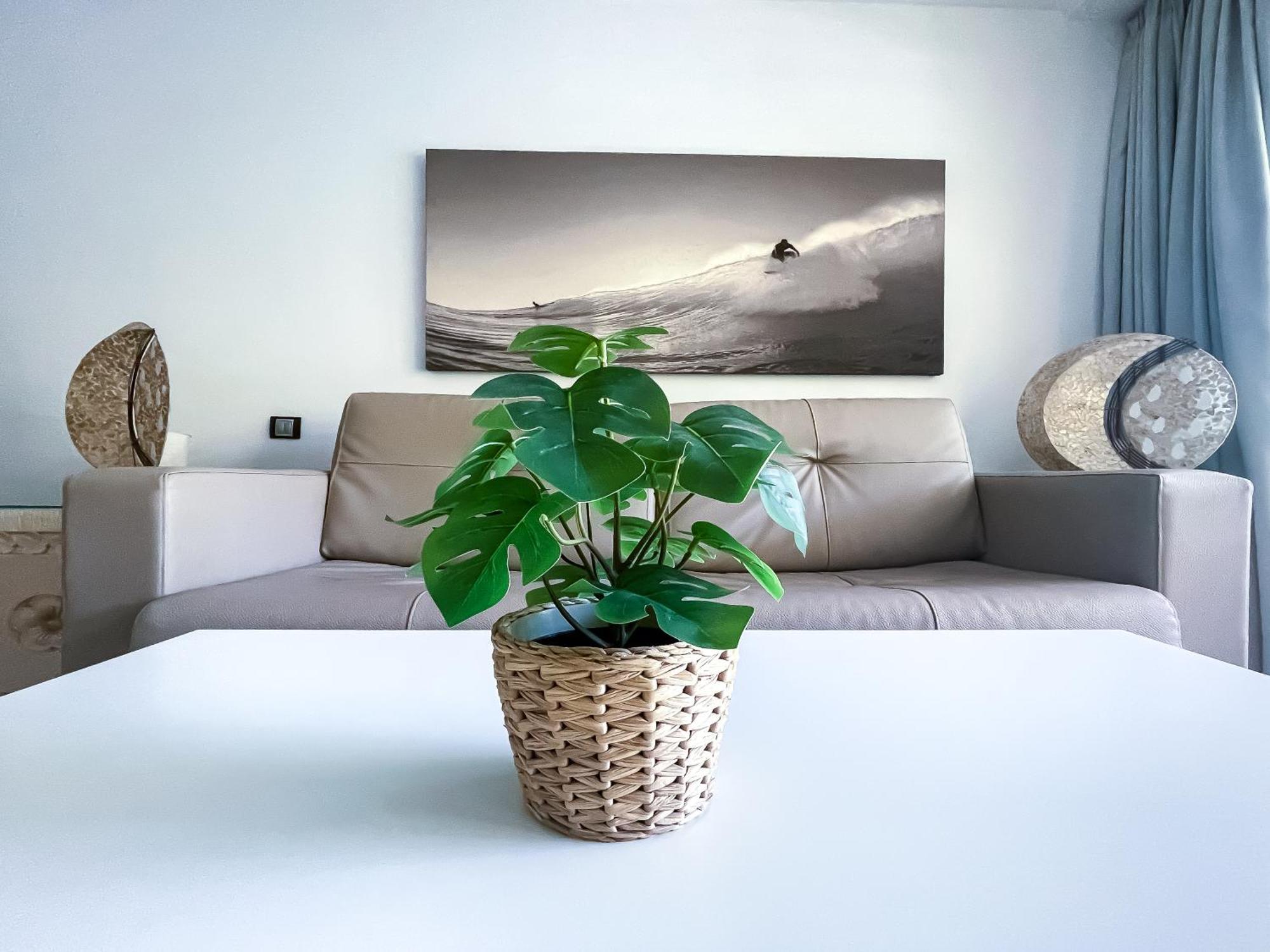 コラレホB-Rent Atlantic Garden 181アパートメント エクステリア 写真